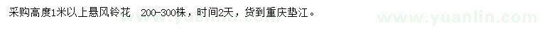 求購高度1米以上懸風(fēng)鈴花