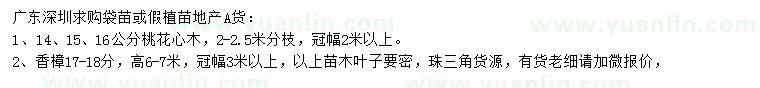 求購14、15、16公分桃花心木、17-18公分香樟