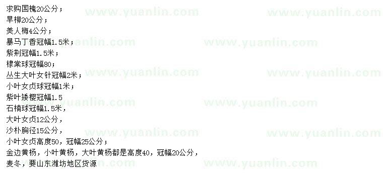求購國槐、旱柳、美人梅等