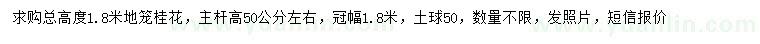 求購高1.8米桂花