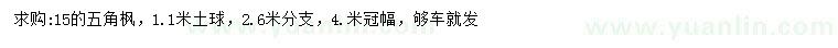 求購15公分五角楓