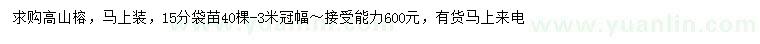 求購15公分高山榕