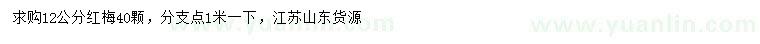 求購12公分紅梅