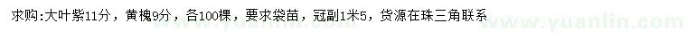 求購11公分大葉紫薇、9公分黃槐