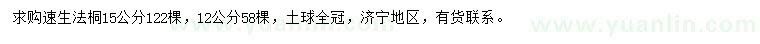 求購(gòu)12、15公分速生法桐