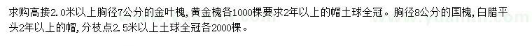 求購金葉槐、黃金槐、國槐等