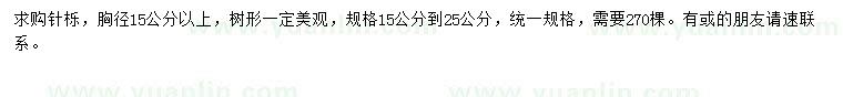 求購(gòu)胸徑15公分以上針櫟