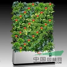 天津植物墻|天津植物墻施工哪家好【譽盛】價位合理