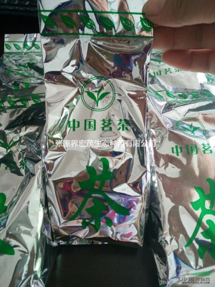 降低血糖特效茶飲青錢柳嫩葉茶