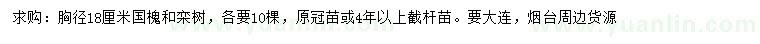 求購18公分國槐、欒樹
