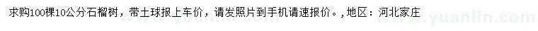 求購10公分石榴樹