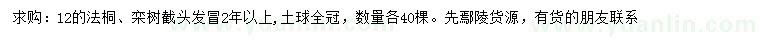 求購(gòu)12公分法桐、欒樹(shù)