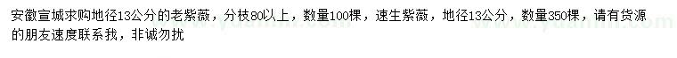 求購地徑13公分老紫薇、速生紫薇