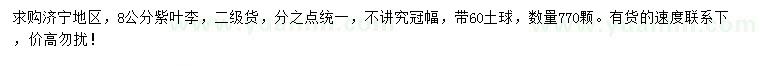 求購8公分紫葉李