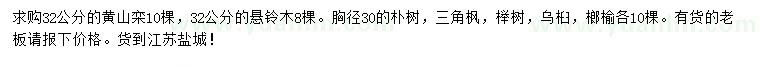 求購黃山欒、懸鈴木、樸樹等