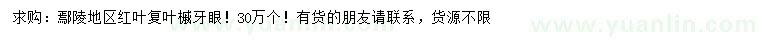 求購紅葉復葉槭芽苗