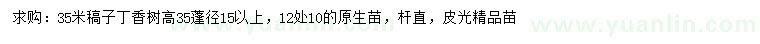 求購(gòu)35米丁香樹(shù)