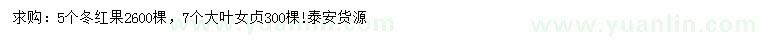 求購5公分冬紅果、7公分大葉女貞