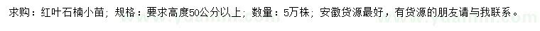 求購(gòu)高50公分以上紅葉石楠小苗
