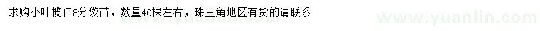 求購(gòu)8公分小葉欖仁