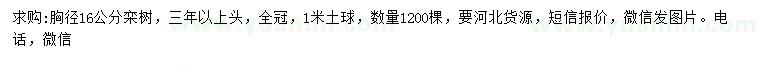 求購(gòu)胸徑16公分欒樹