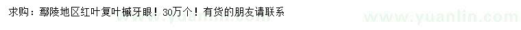 求購紅葉復(fù)葉槭