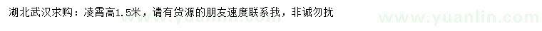 求購高1.5米凌霄