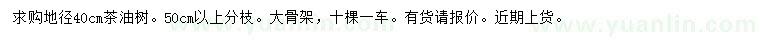 求購(gòu)地徑40公分茶油樹(shù)