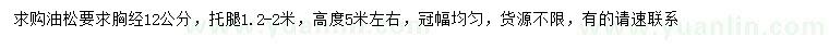 求購胸徑12公分油松