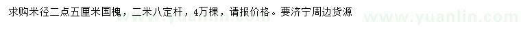 求購米徑2.5公分國槐