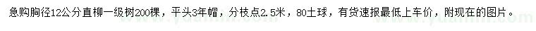 求購胸徑12公分直柳