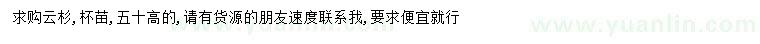 求購50公分云杉苗