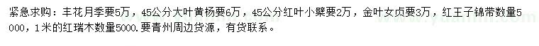 求購豐花月季、大葉黃楊、紅葉小檗等