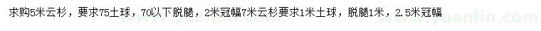 求購5米云杉