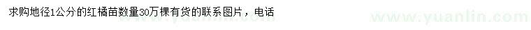 求購(gòu)地徑1公分紅橘苗