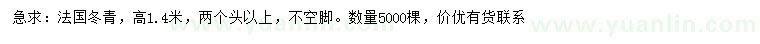 求購高1.4米法國冬青