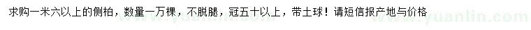 求購(gòu)1.6米以上側(cè)柏