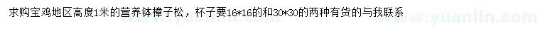 求購高1米樟子松