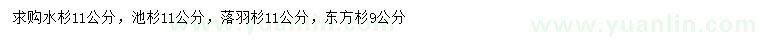 求購水杉、池杉、落羽杉等