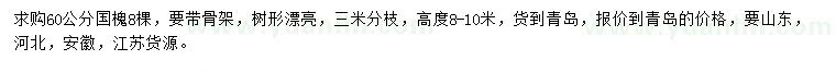 求購60公分國槐