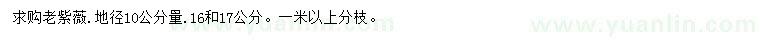 求購地徑10公分老紫薇
