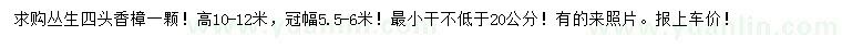 求購叢生四頭香樟