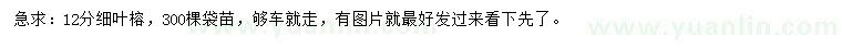 求購(gòu)12公分細(xì)葉榕