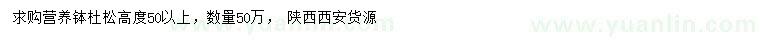 求購高50以上杜松