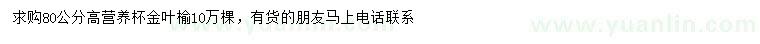 求購高80公分金葉榆
