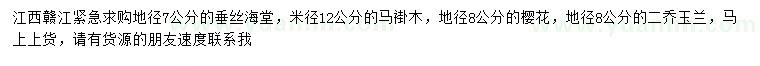 求購垂絲海堂、馬褂木、櫻花等