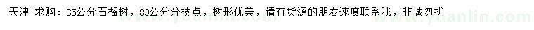 求購(gòu)35公分石榴樹(shù)