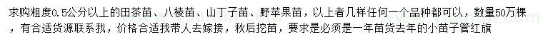 求購田茶苗、八棱苗、山丁子苗等
