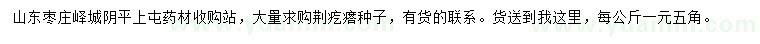 求購荊疙瘩種子