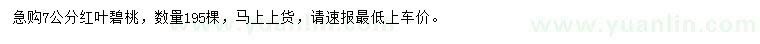求購7公分紅葉碧桃